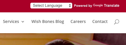 Google Translate Wish Agency