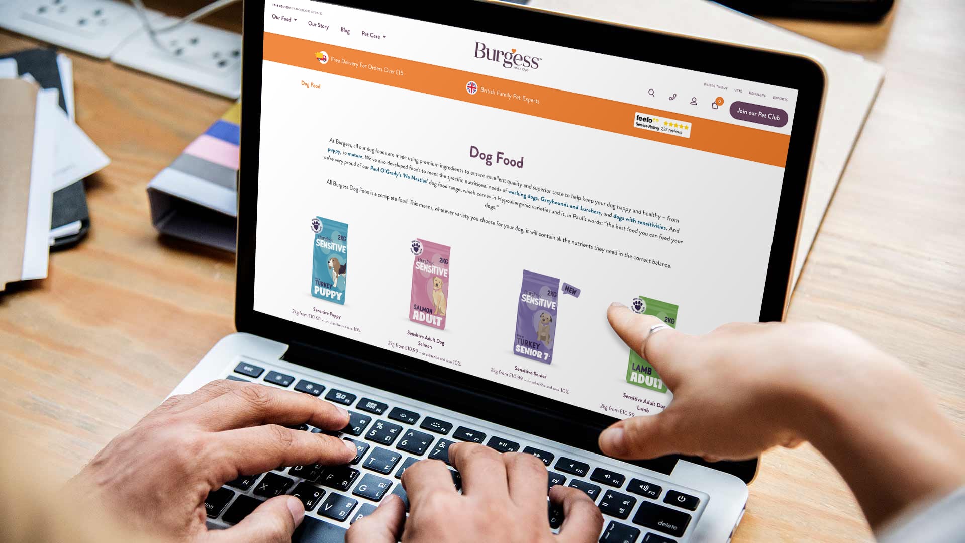 B2B WordPress Agency